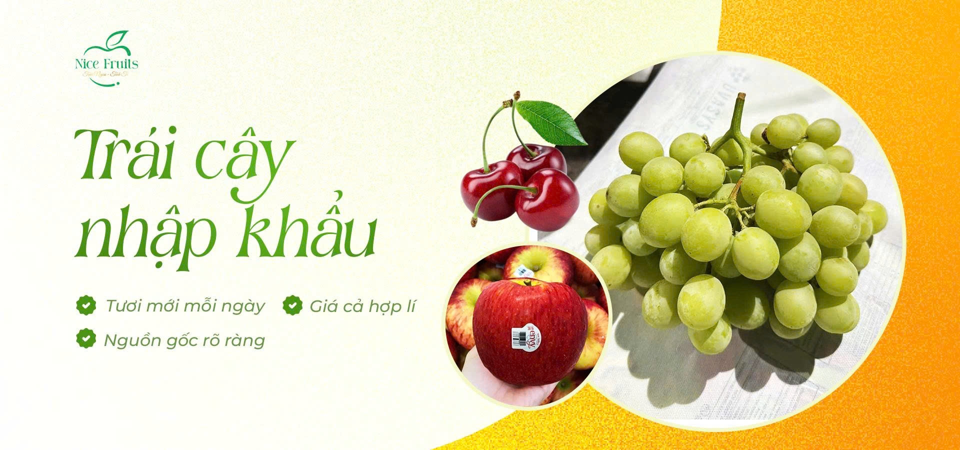 TRÁI CÂY NHẬP KHẨU