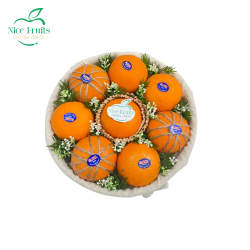 Hộp Quýt Vàng Phát Lộc - NI67