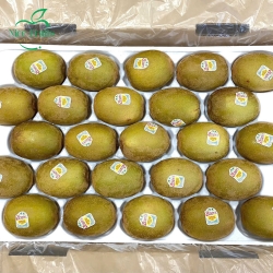 Kiwi vàng New Zealand -NI88