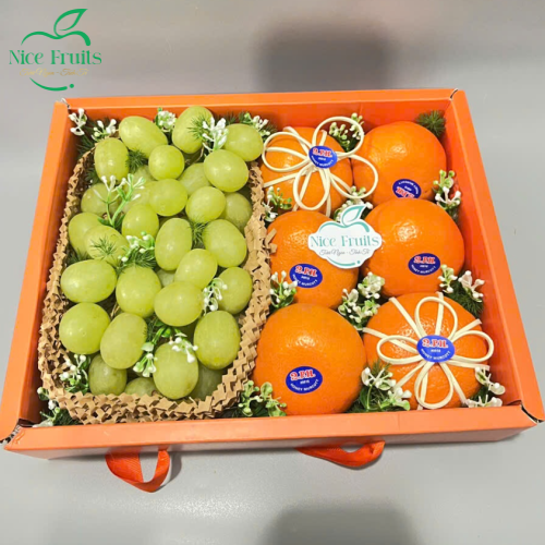 Hộp trái cây Thịnh Vượng - NI96