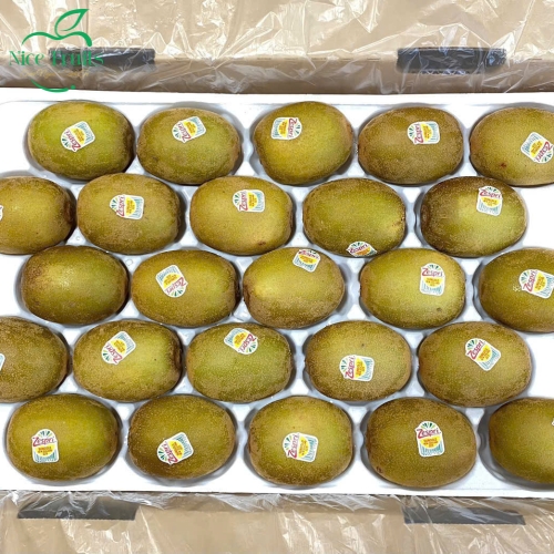 Kiwi vàng New Zealand -NI88
