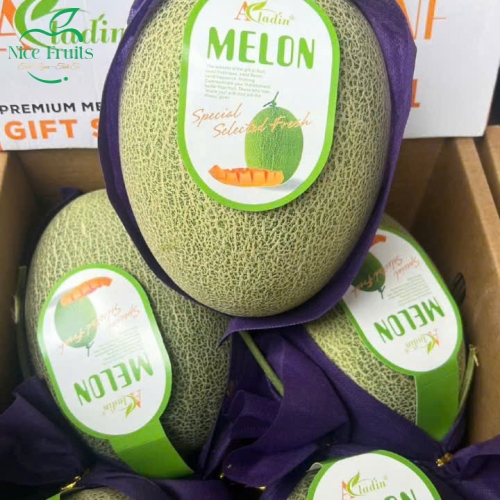 Dưa Lưới Aladin