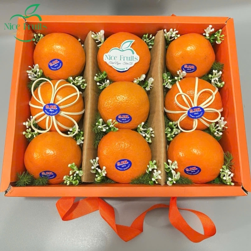 Hộp quà lộc phát - NI108