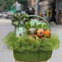 Giỏ trái cây cúng giỗ - NI54